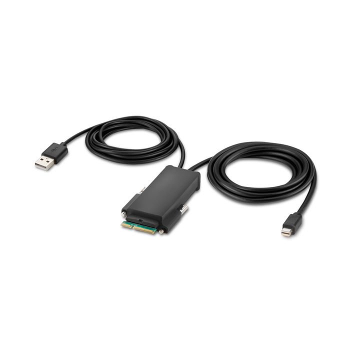 Belkin Modular Mini DP Single Head Host Cable 1.8m