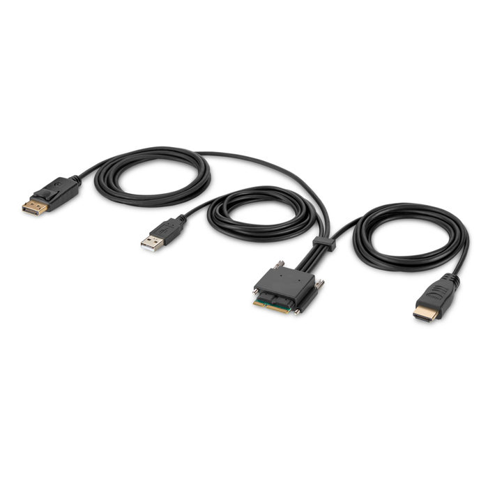 Belkin Modular HDMI and DP Dual Head Host Cable 1.8m