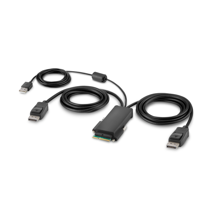 Belkin Modular DP Dual Head Host Cable 1.8m